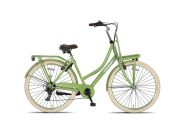 Berlin 28 inch Transportfiets 53cm Salie Groen *** IN PRIJS VERLAAGD  ***