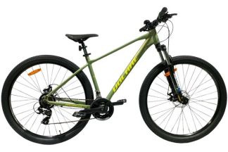 Volare X-Trail MTB – Jongens – 29er – M - Groen – 21 speed