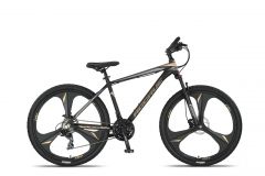 Fiets in framemaat 45 cm kopen: heren- en damesfietsen