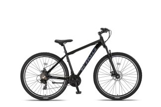 Altec King 29 inch 2D MTB Zwart