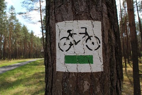 mooiste fietsroutes van Nederland