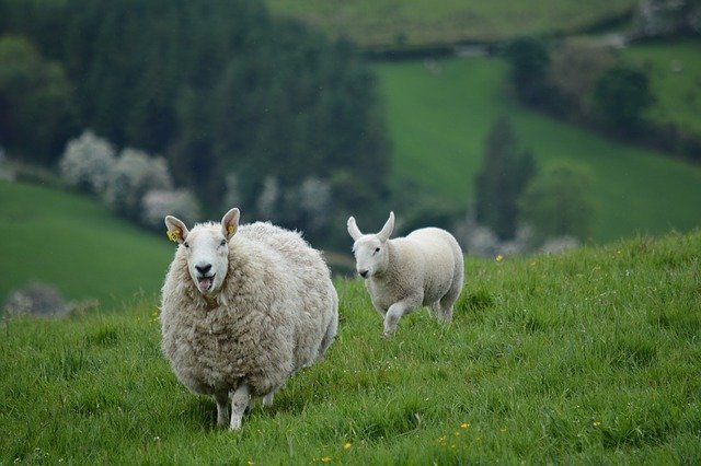 Fietsen door Ierland de mooiste routes & praktische tips