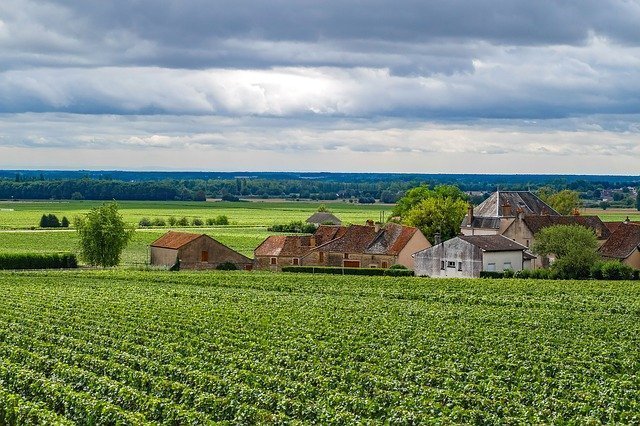 Fietsen in Bourgogne de mooiste routes en tips