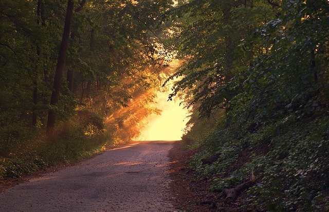 Fietsen in Brabant