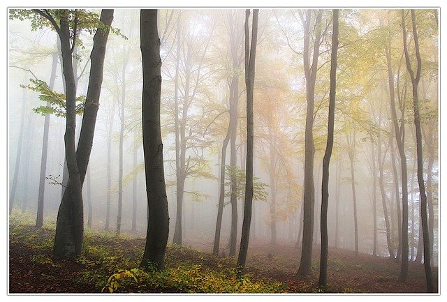 fietsroute Montferland