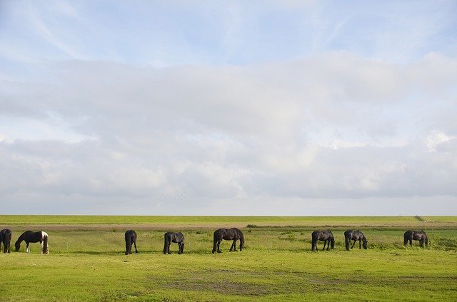 Fietsroutes in Nederland rondje Terschelling