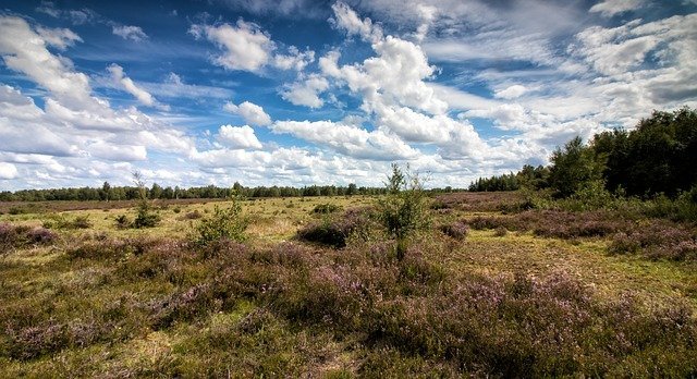 Fietstip in België Duitsland Luxemburg - de Vennbahn