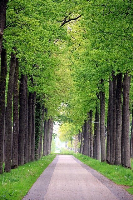 Fietstip in Friesland de fietsroute van Oranjewoud naar Noordwolde