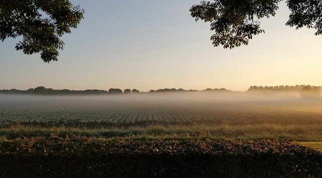 fietsroute Ooijpolder