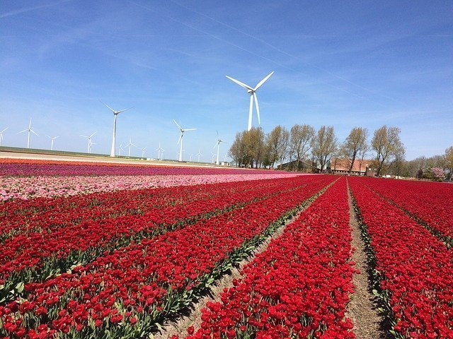 knooppuntroutes in Flevoland